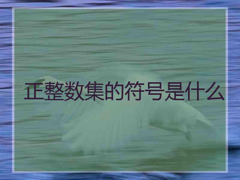 正整数集的符号是什么