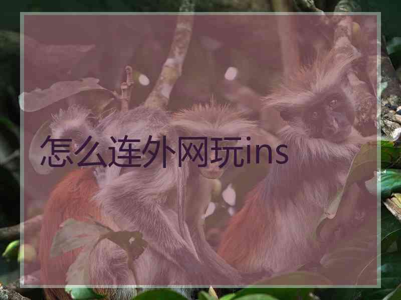 怎么连外网玩ins