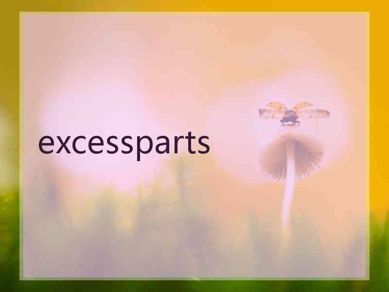 excessparts