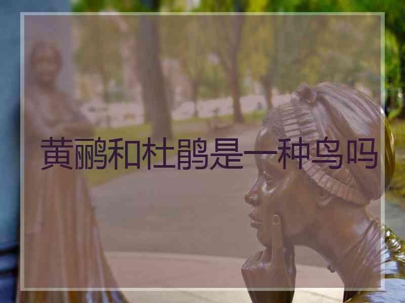 黄鹂和杜鹃是一种鸟吗