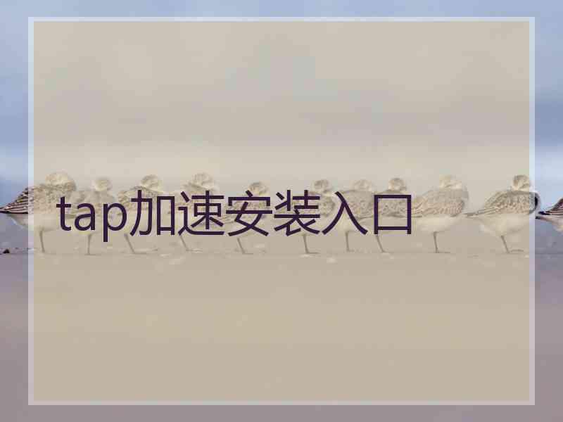 tap加速安装入口