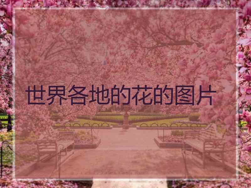 世界各地的花的图片