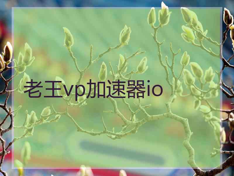 老王vp加速器io