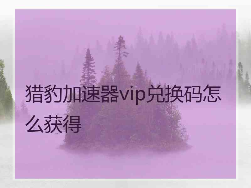 猎豹加速器vip兑换码怎么获得