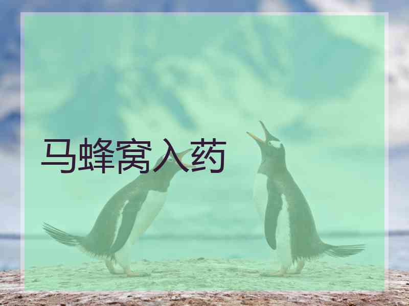 马蜂窝入药