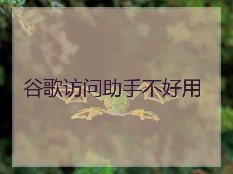 谷歌访问助手不好用