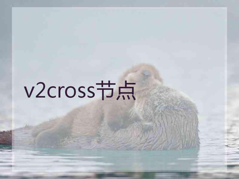 v2cross节点