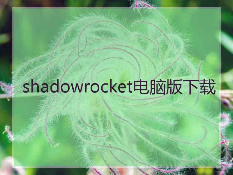 shadowrocket电脑版下载