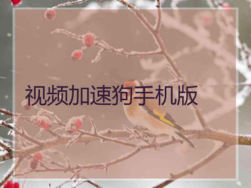 视频加速狗手机版