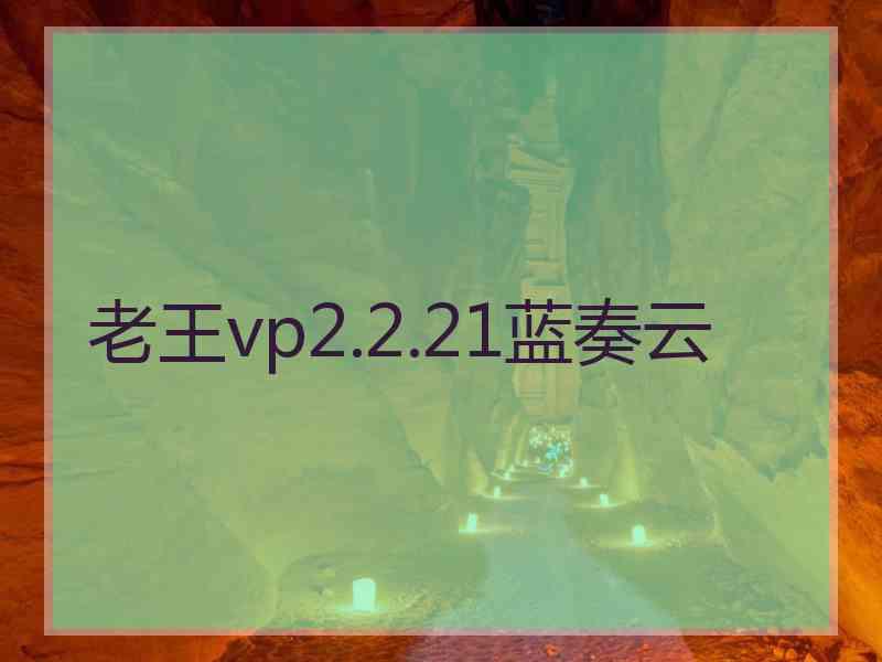 老王vp2.2.21蓝奏云