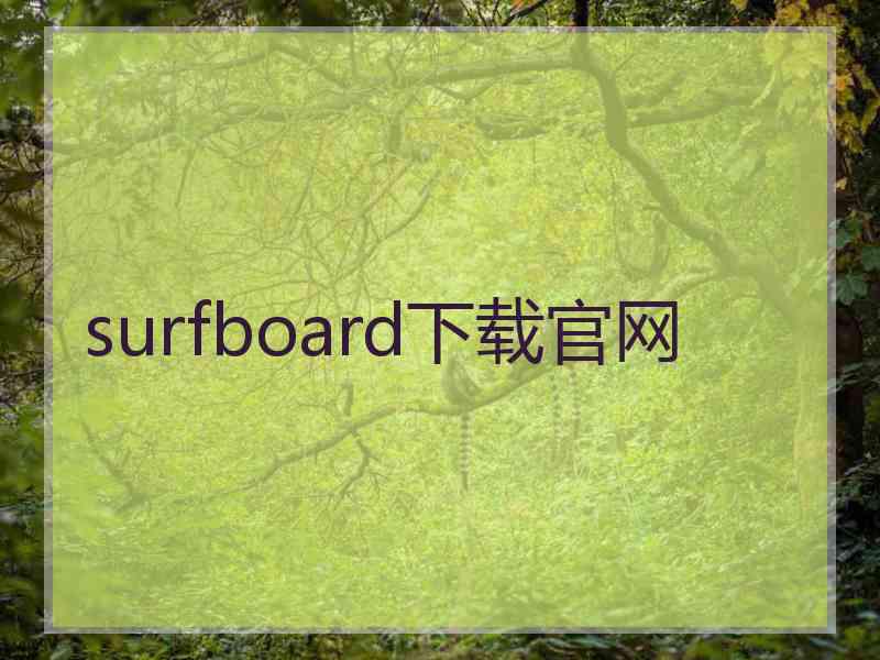 surfboard下载官网