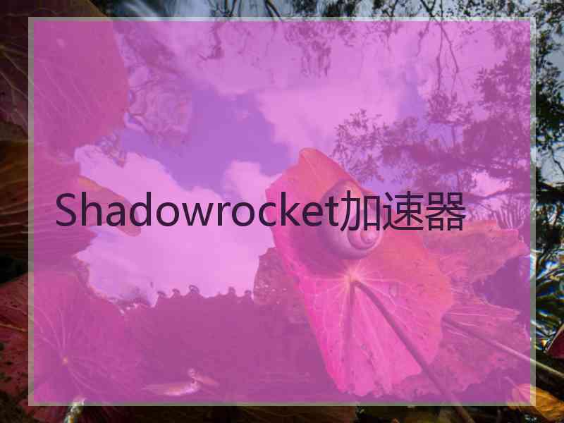 Shadowrocket加速器