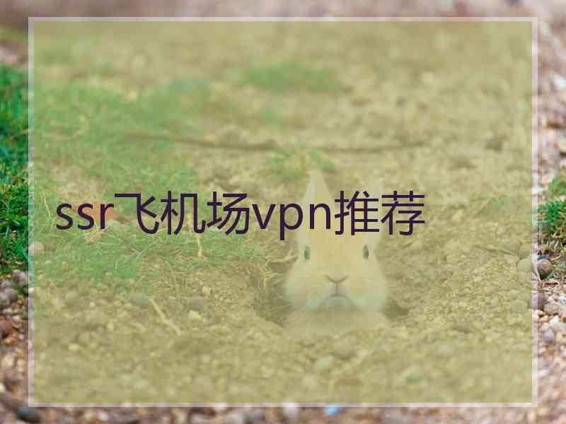 ssr飞机场vpn推荐