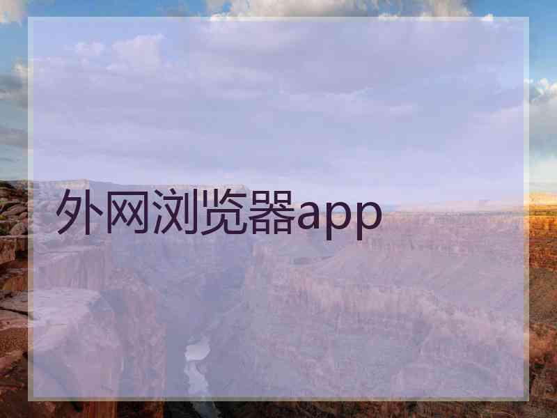 外网浏览器app