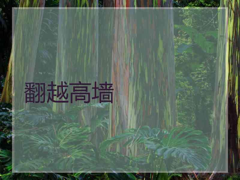 翻越高墙