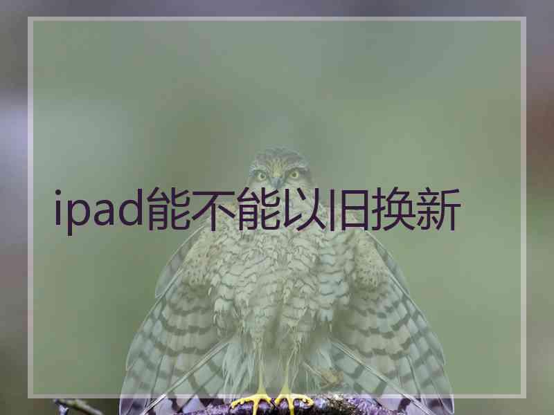 ipad能不能以旧换新