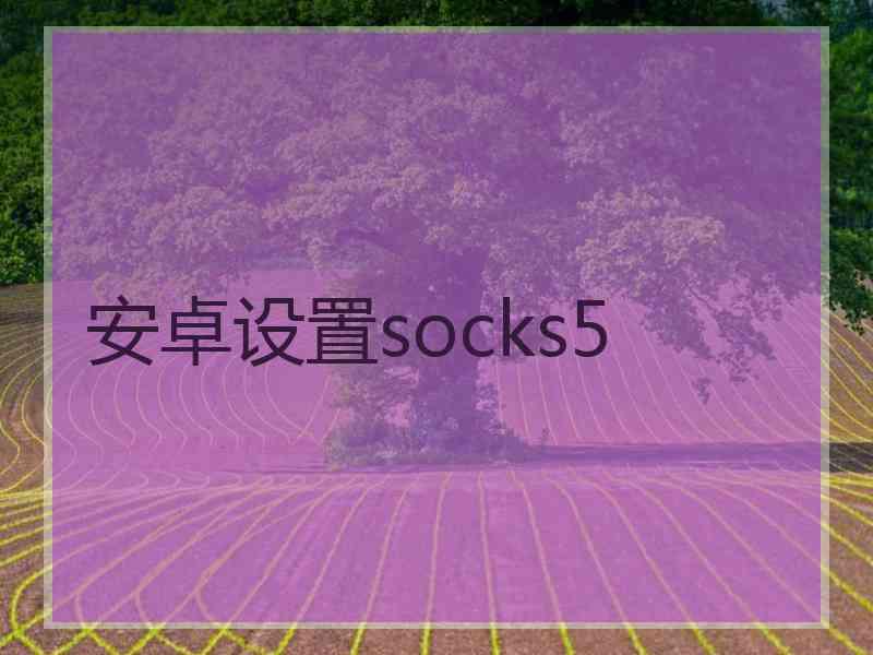安卓设置socks5