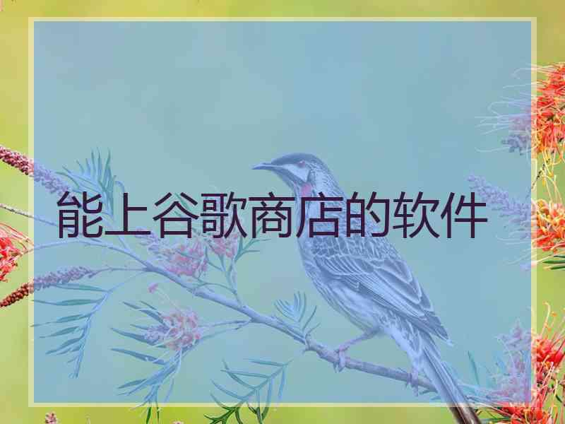 能上谷歌商店的软件