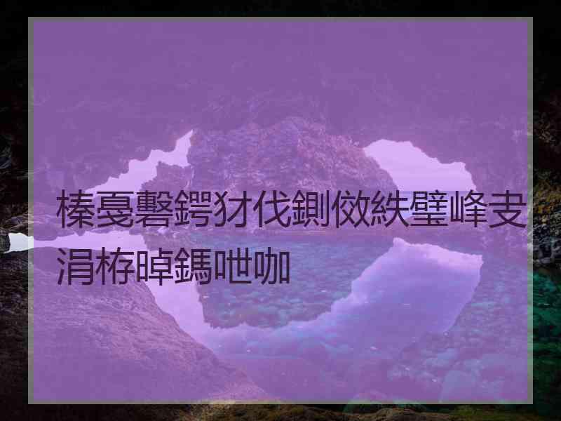 榛戞礊鍔犲伐鍘傚紩璧峰叏涓栫晫鎷呭咖