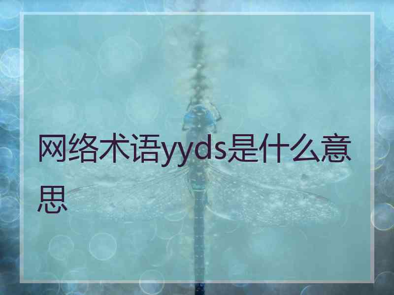 网络术语yyds是什么意思