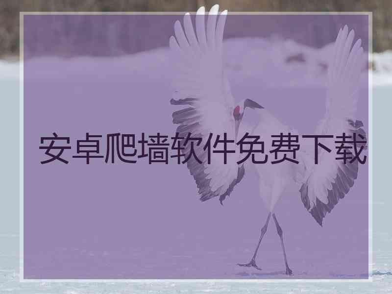 安卓爬墙软件免费下载