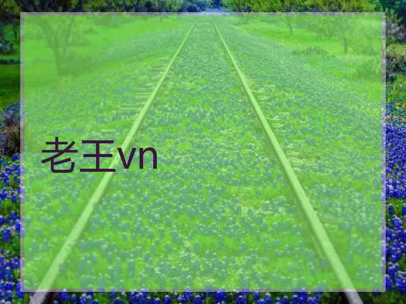 老王vn