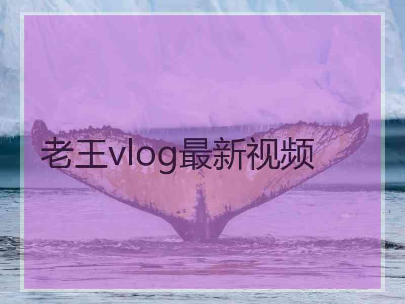 老王vlog最新视频