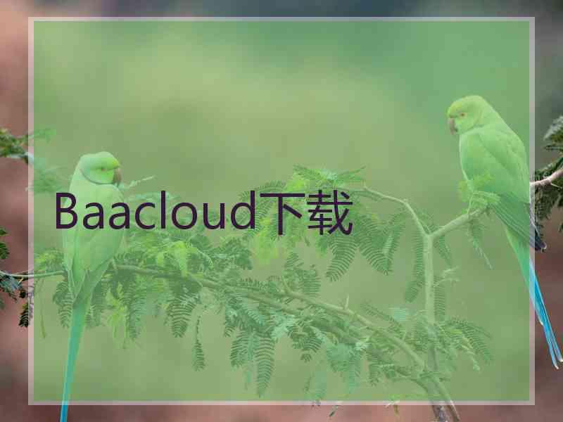 Baacloud下载