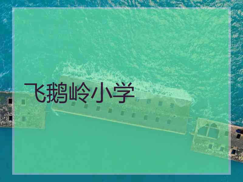 飞鹅岭小学