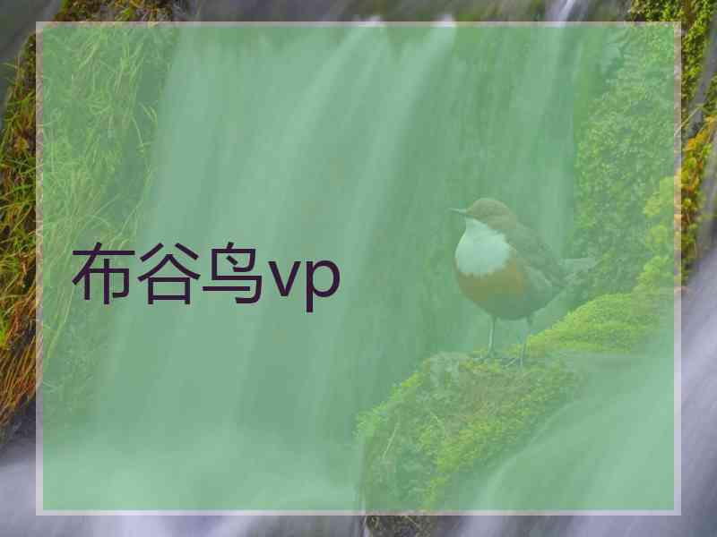 布谷鸟vp