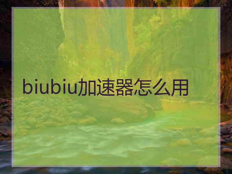 biubiu加速器怎么用