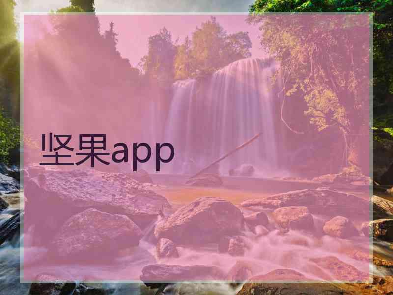 坚果app