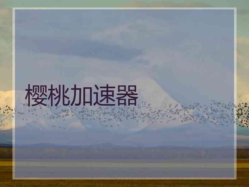 樱桃加速器