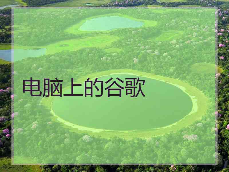 电脑上的谷歌