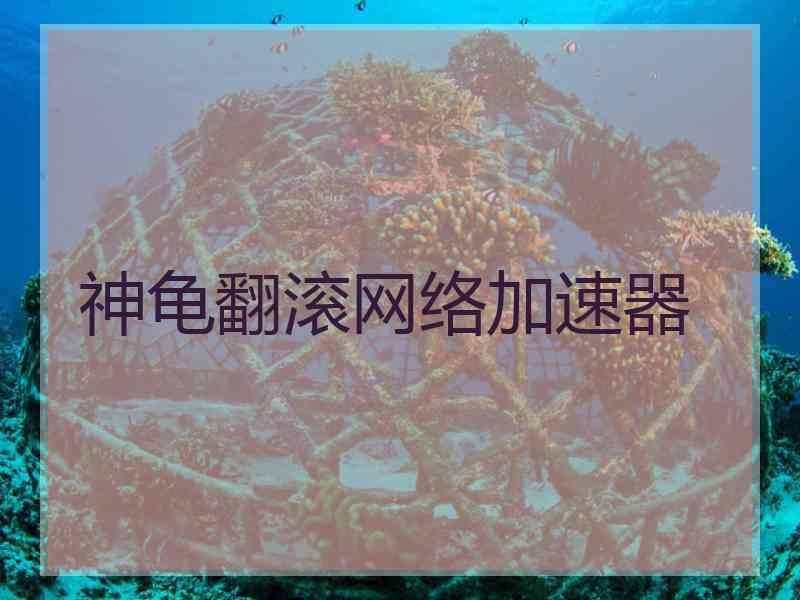 神龟翻滚网络加速器