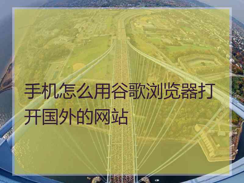 手机怎么用谷歌浏览器打开国外的网站