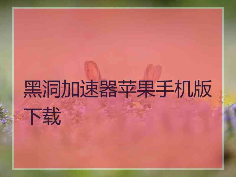 黑洞加速器苹果手机版下载