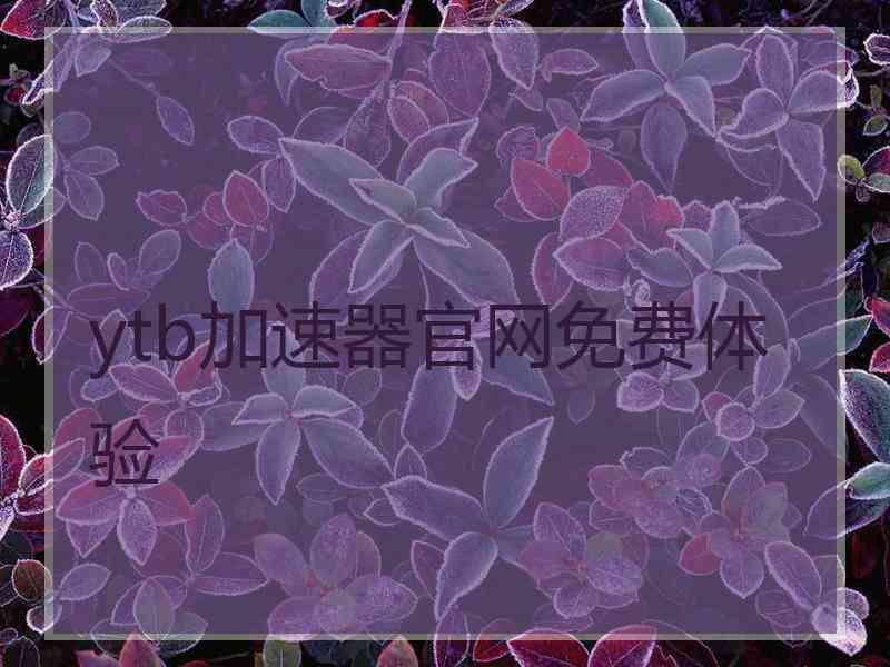 ytb加速器官网免费体验