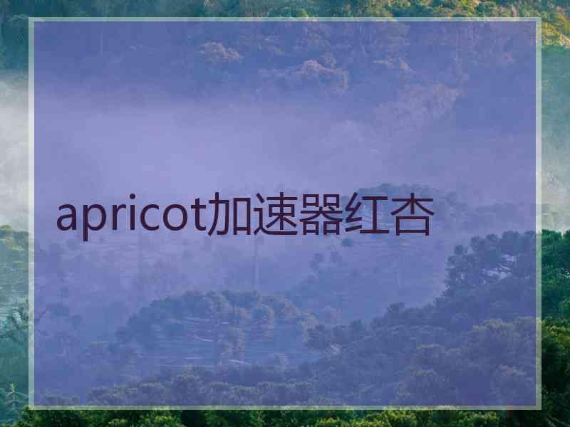 apricot加速器红杏