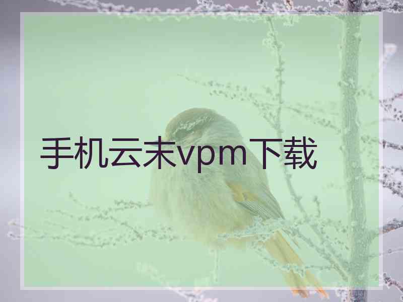 手机云末vpm下载