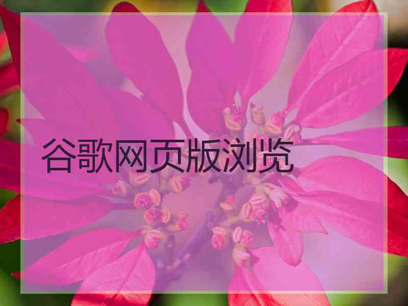 谷歌网页版浏览