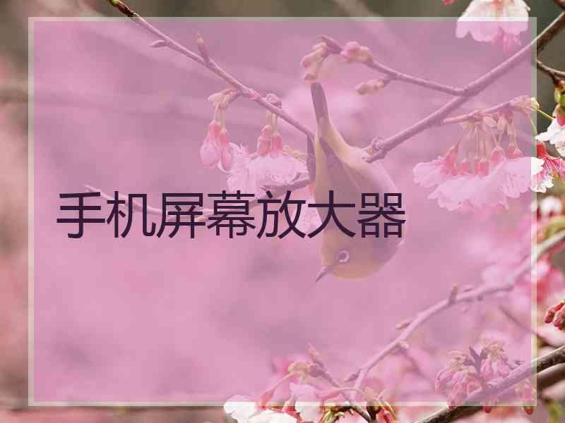 手机屏幕放大器
