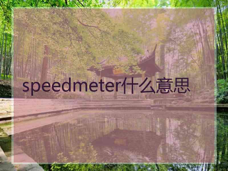 speedmeter什么意思