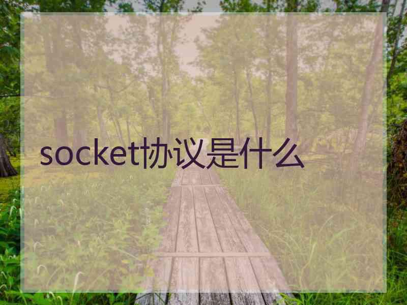 socket协议是什么