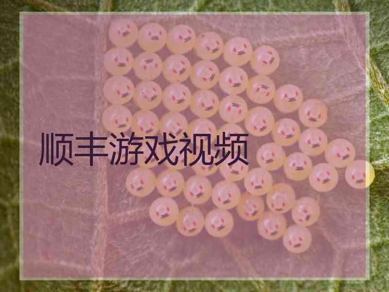 顺丰游戏视频