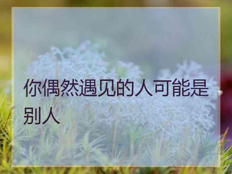 你偶然遇见的人可能是别人