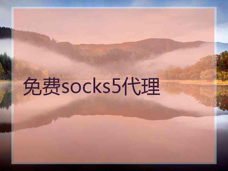 免费socks5代理