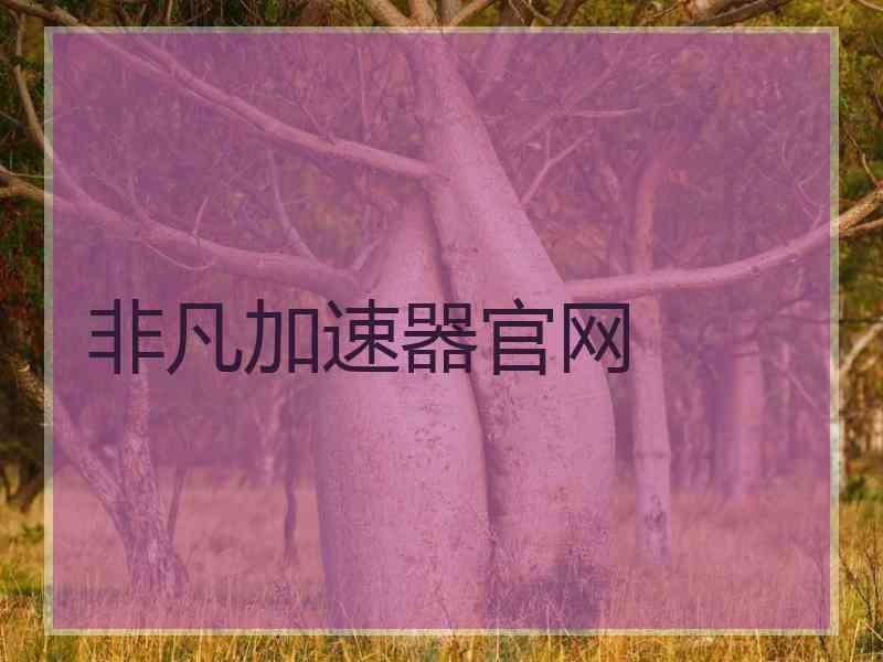 非凡加速器官网