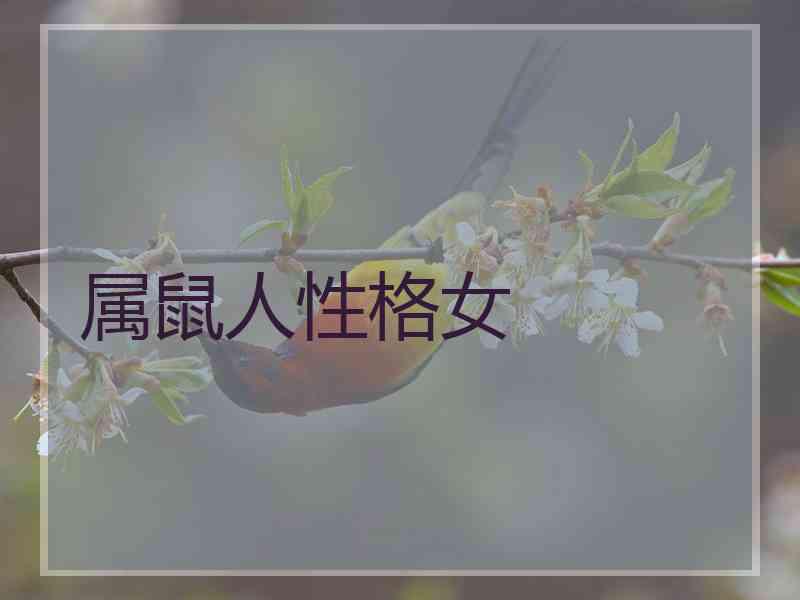 属鼠人性格女