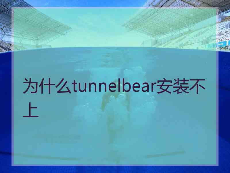 为什么tunnelbear安装不上